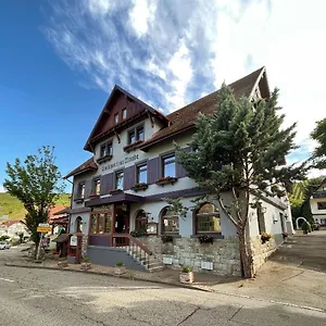 Traube فندق